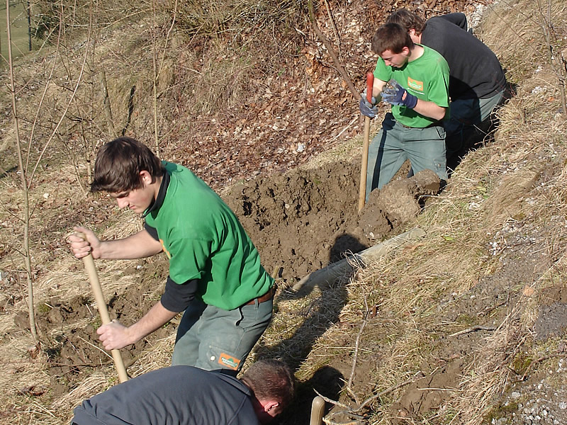 Bepflanzung durch das Team von Knop und Reitze AG